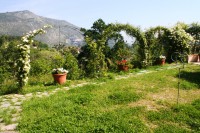 /album/i-fiori-di-casa-acquarella/a9-img-8669-r-jpg/